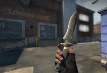 近期经典攻势(CSCO)团队与玩家的问答-CSGO RushB中文网