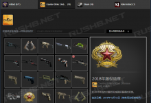 他的红色(6转)2018服役勋章是怎么获得的?-CSGO RushB中文网
