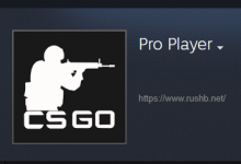 查找CSGO职业选手的Steam、社交媒体账号-CSGO RushB中文网