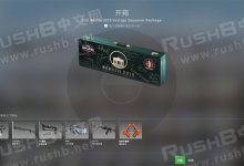 关于柏林2019殒命大厦纪念包-CSGO RushB中文网