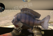 CSGO隐藏地图水面贴图和水中效果-CSGO RushB中文网