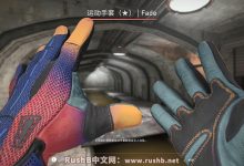 那些存在游戏中却未采用的CSGO手套皮肤-CSGO RushB中文网
