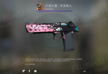 蒸汽平台检视Steam市场/库存皮肤方法-CSGO RushB中文网