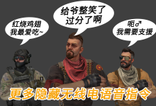 CSGO更多隐藏无线电语音指令-CSGO RushB中文网