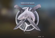 激流大行动挑战币(铜、银、金、钻石)游戏内检视效果截图-CSGO RushB中文网