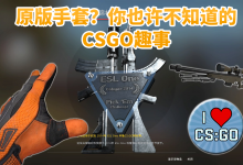 原版手套?黑手凤凰战士?你也许不知道的CSGO趣事-CSGO RushB中文网