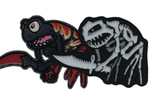 CSGO国服和谐布章(附国际服对比)-CSGO RushB中文网