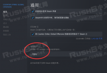 CSGO:5月13日更新后游戏卡顿问题解决方法(2种)-CSGO RushB中文网